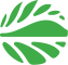 yil-logo.png