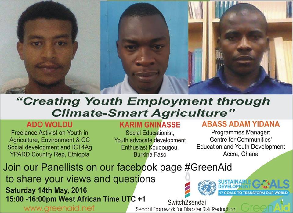 The green Aid chat panelists