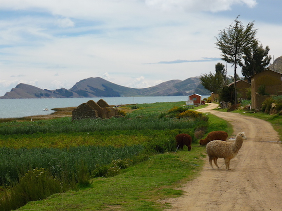 Rural Bolivia