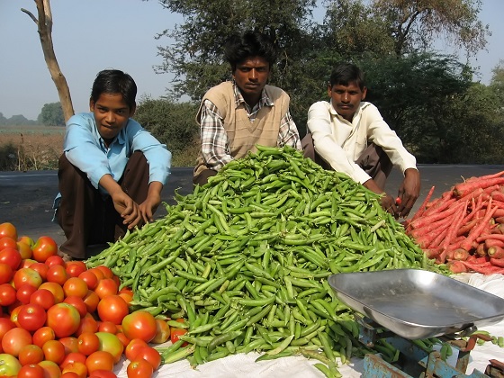 Sellers of farm produce on the roadside near their field - Vasant Dave