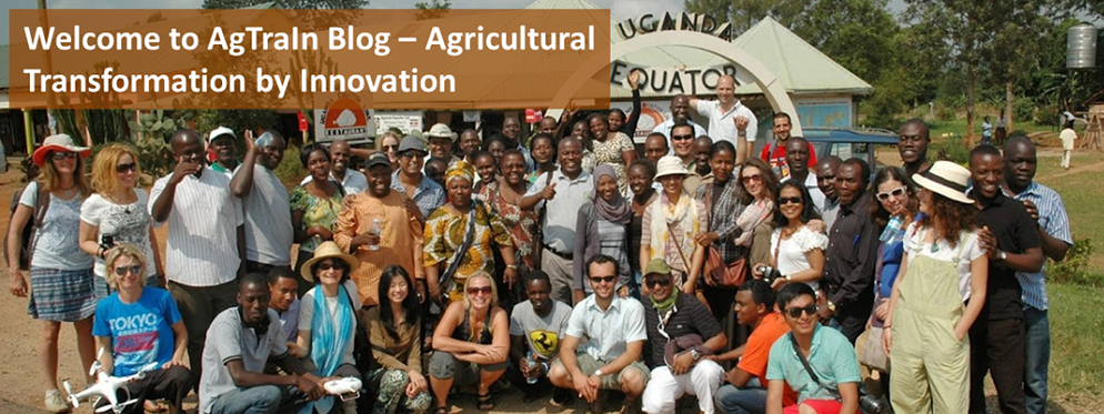 AgTraIn blog: what young researchers have to say about agricultural innovation!