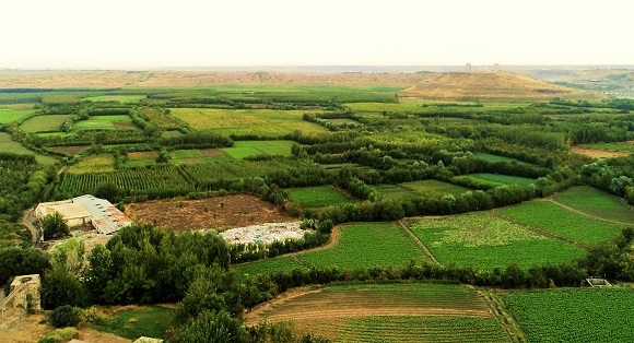 landscape of the surroundings of the city 