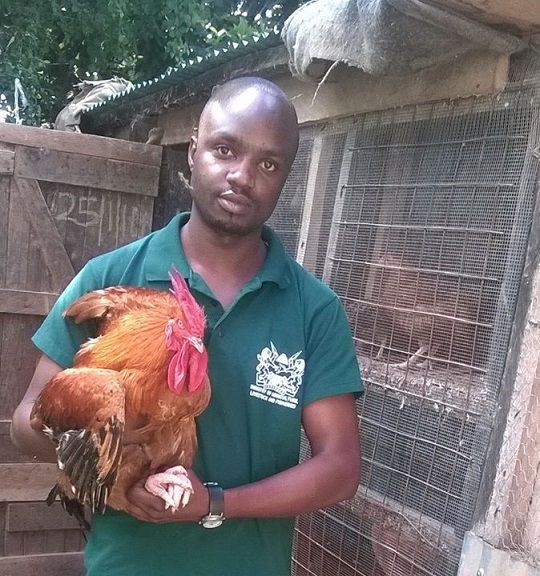 Emmanuel Ngore and his chickens