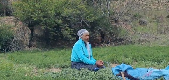 Halifa, young female farmer in Morocco