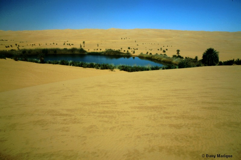 Oasis in the Libyan desert - Oasis dans le Désert de Libye. Libya Author : Dany Marique