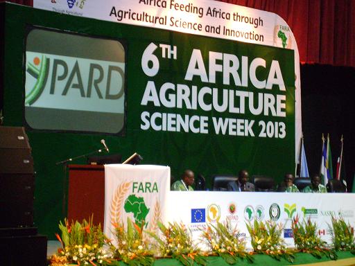 YPARD, partner at AASW6