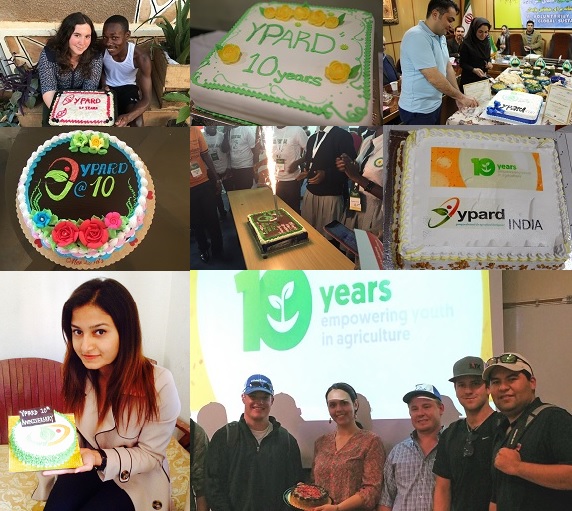YPARD 10years cakes