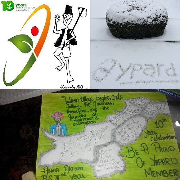YPARD activities