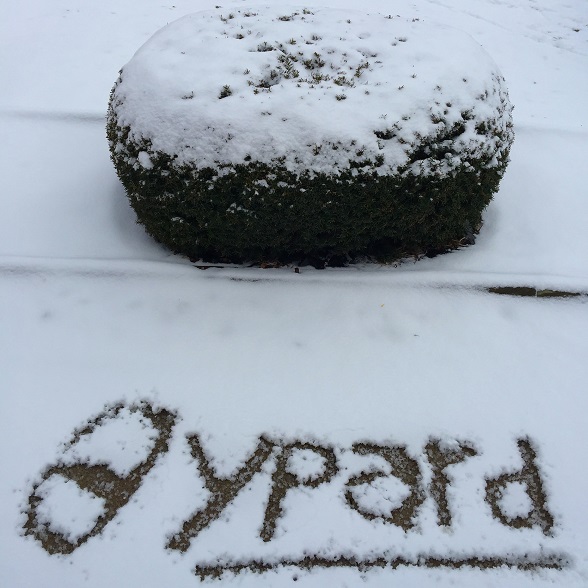 YPARD10years in the snow