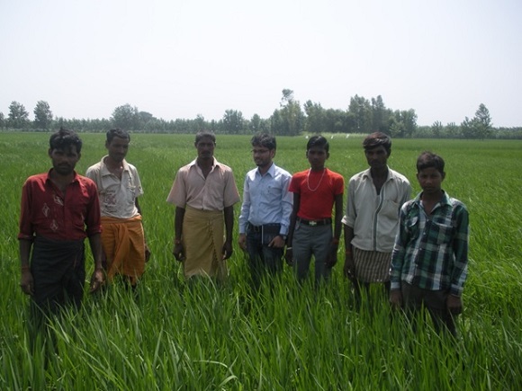 Indian Youth in the field