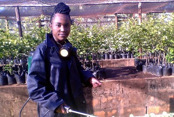 Ann-marie, YPARD Zimbabwe