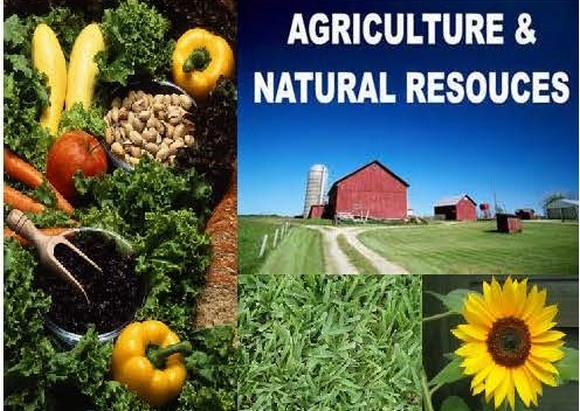 Agriculture and nature