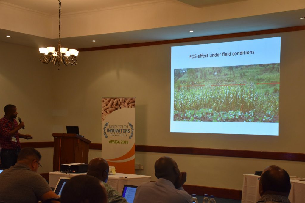 Shayanowako presents on his work increasing maize resistance to parastic weeds at the 2019 MAIZE Youth Innovators Awards ceremony, held in Lusaka, Zambia. Photo: Jerome Bossuet.