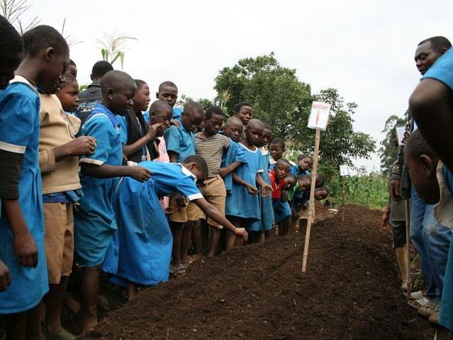 YPARD Cameroon  Building vegetable gardens in schools