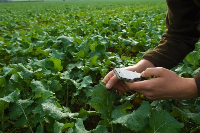 How technology can reduce the gap between youth and agriculture?