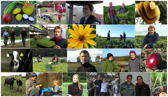 Young Farmers from Europe