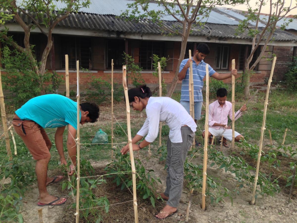 Youth in Agriculture in Nepal