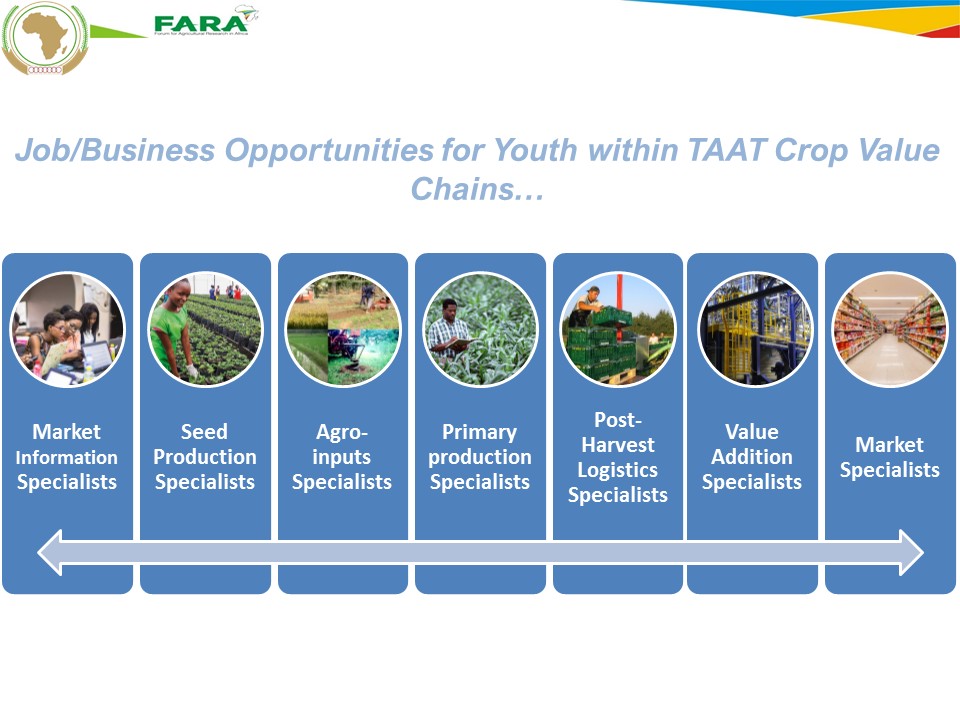 Karen Munoko_FARA_ Job and Business Opportunities for Youth within TAAT Crop Value Chains