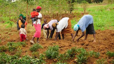 Women, although major contributors to agricultural production, are often left out of the development equation.