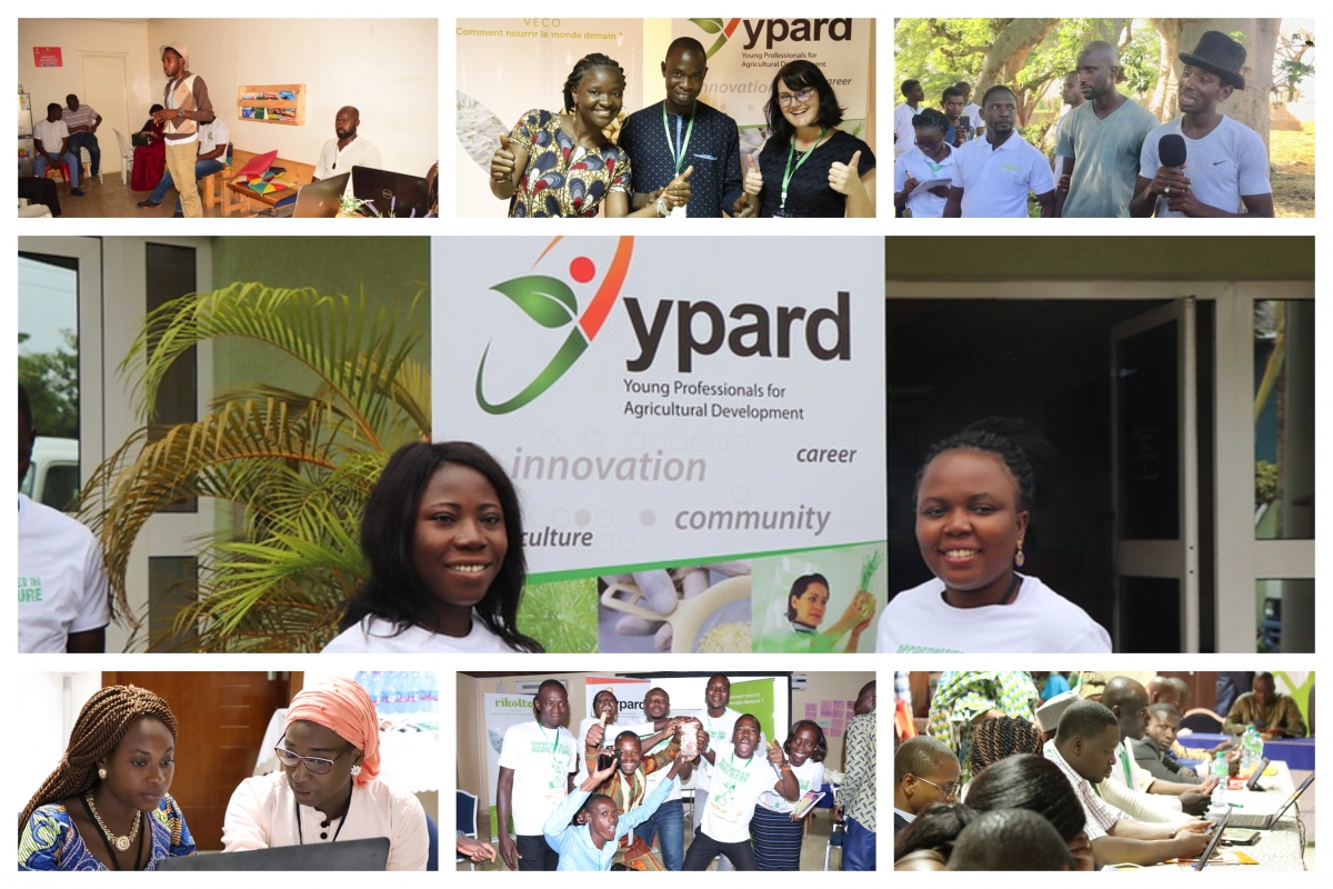 YPARD Africa Diary